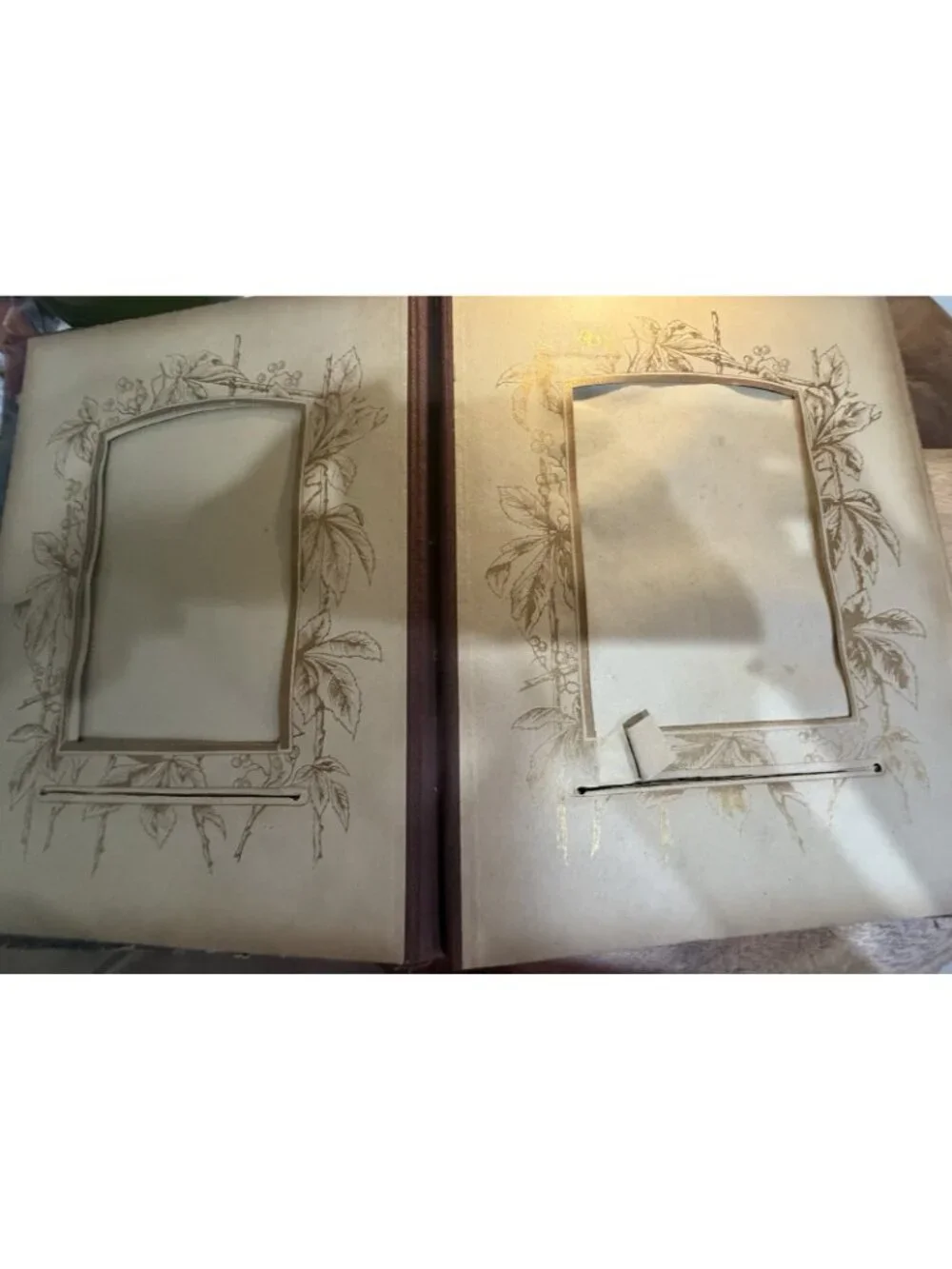 Antique 1910 Victorian Edwardian Photo Album  photos 1910s Family (Tennessee)